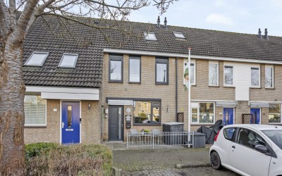 Gladioolveld 14