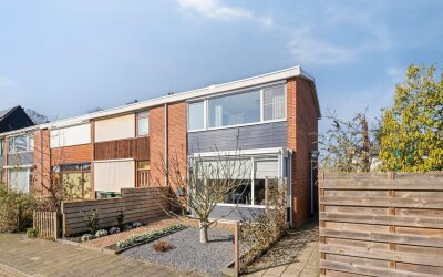 Wulpstraat 11