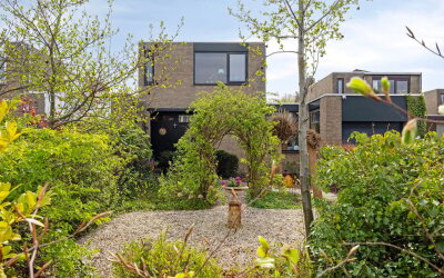 Boksdoorn 3