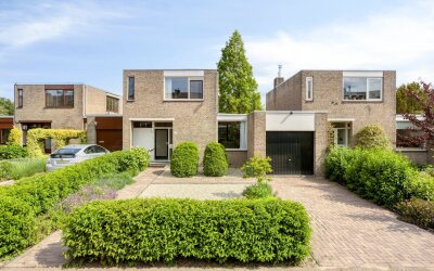 Boksdoorn 6