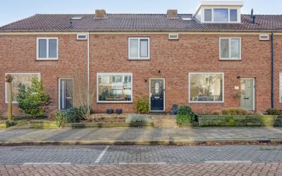 Goudsbloems. 18