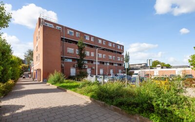 Nedersassen 2