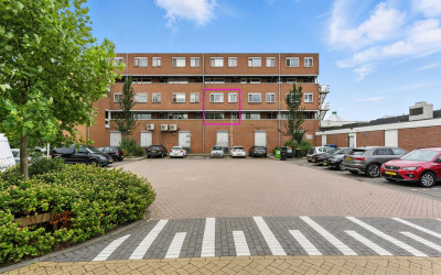 Nedersassen 8