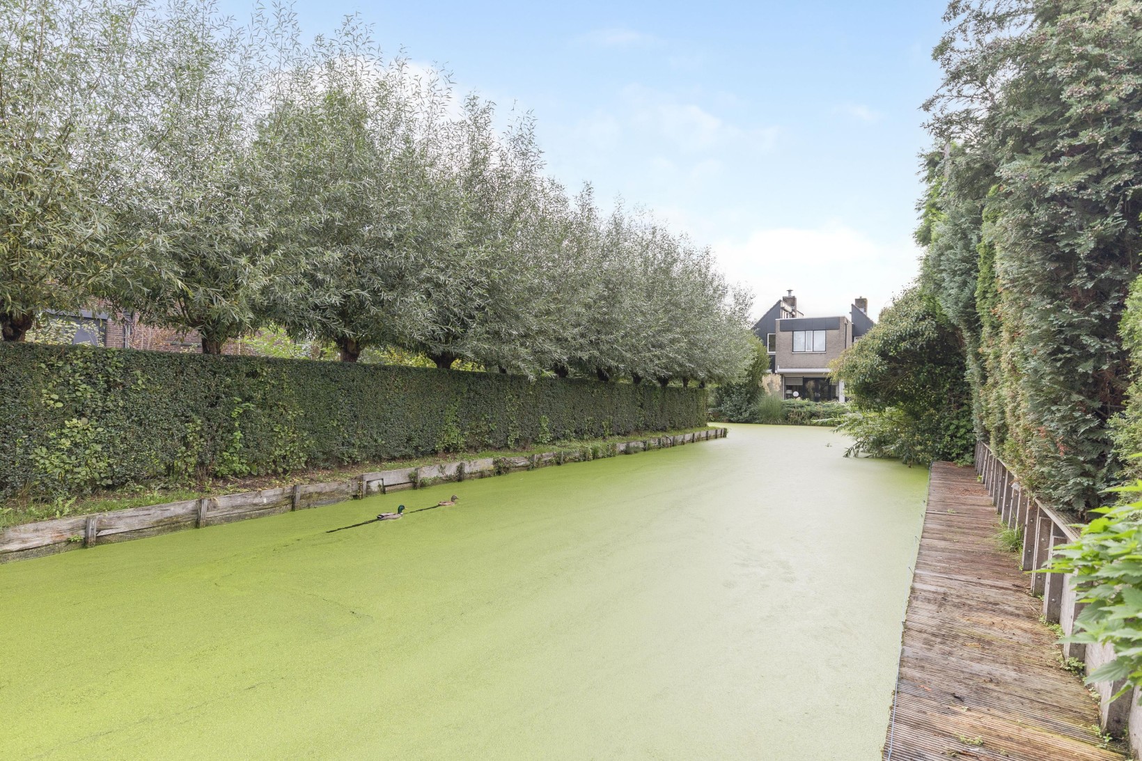 Hoekwoning te koop: Cortgenehof 1, Alblasserdam