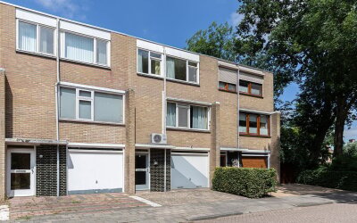 Groen van P. 67