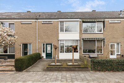 Groen van P. 56
