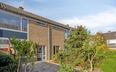 Johan de Wittstraat 32