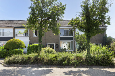 Johan de Wittstraat 60