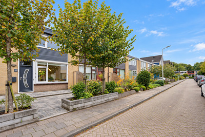 Leeuwerikstraat 16