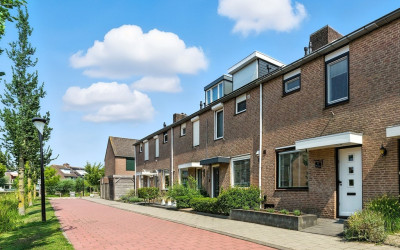 Zwanebloem 53
