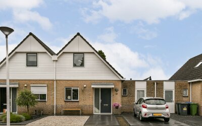 Baardmannetje 10
