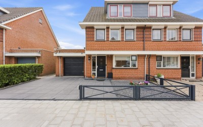 Roerdomp 50