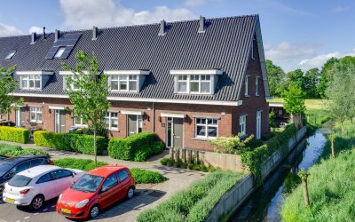 Dotterbloem 13