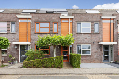 Kamperfoelie 20