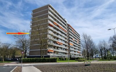 Seringenplantsoen 511