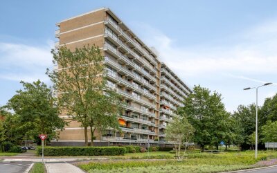Seringenplantsoen 529