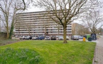 Seringenplantsoen 545