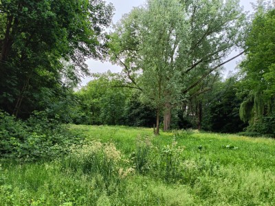 Oosterparkw. 31