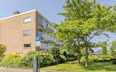 Van Lenneps. 53