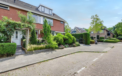 Pelikaan 46