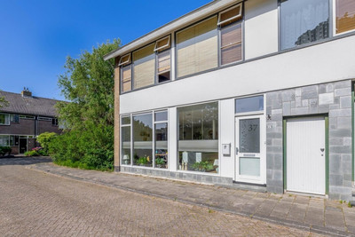 Westerhof 37