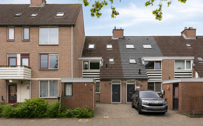 Rietgors 51