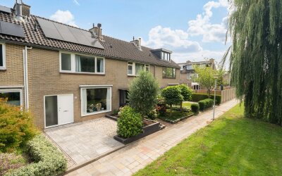 Korenbloem 11