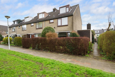 Korenbloem 31