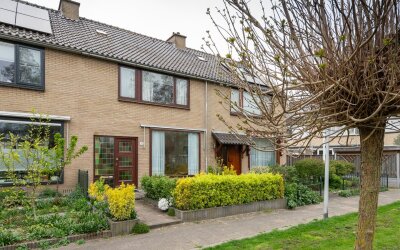 Pinksterbloem 20