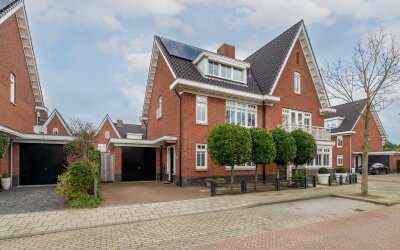 Coniferenhout 3