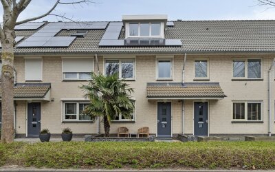 Ebbenhout 8