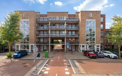 Merantihout 50