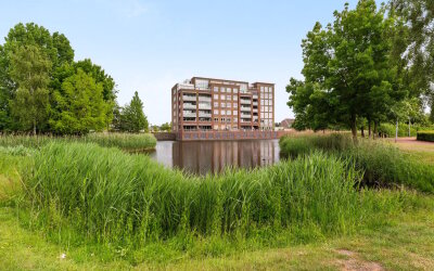 Palissanderhout 78