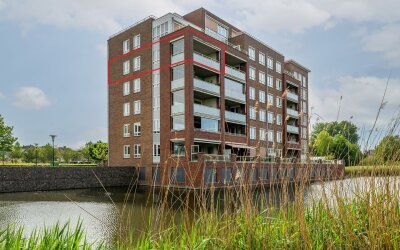 Palissanderhout 88