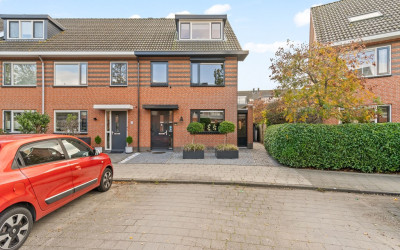 Rozenhout 8