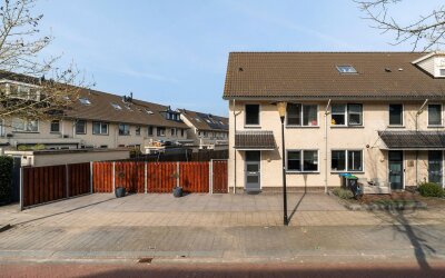 Sandelhout 2