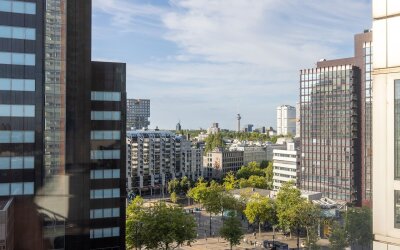 Bulgersteyn 7113