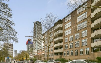Vasteland 411