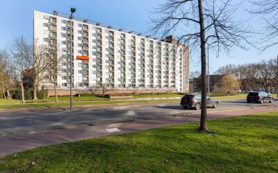 Suze Groene. 103