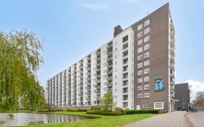 Suze Groene. 125