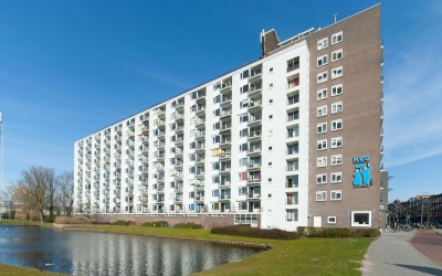 Suze Groeneweglaan 313