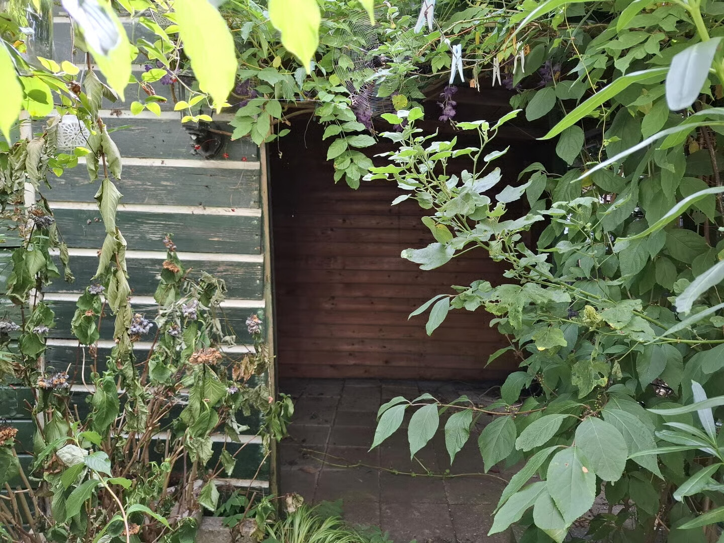 Appartement te koop: Frank van Borselenstraat 12B, Rotterdam