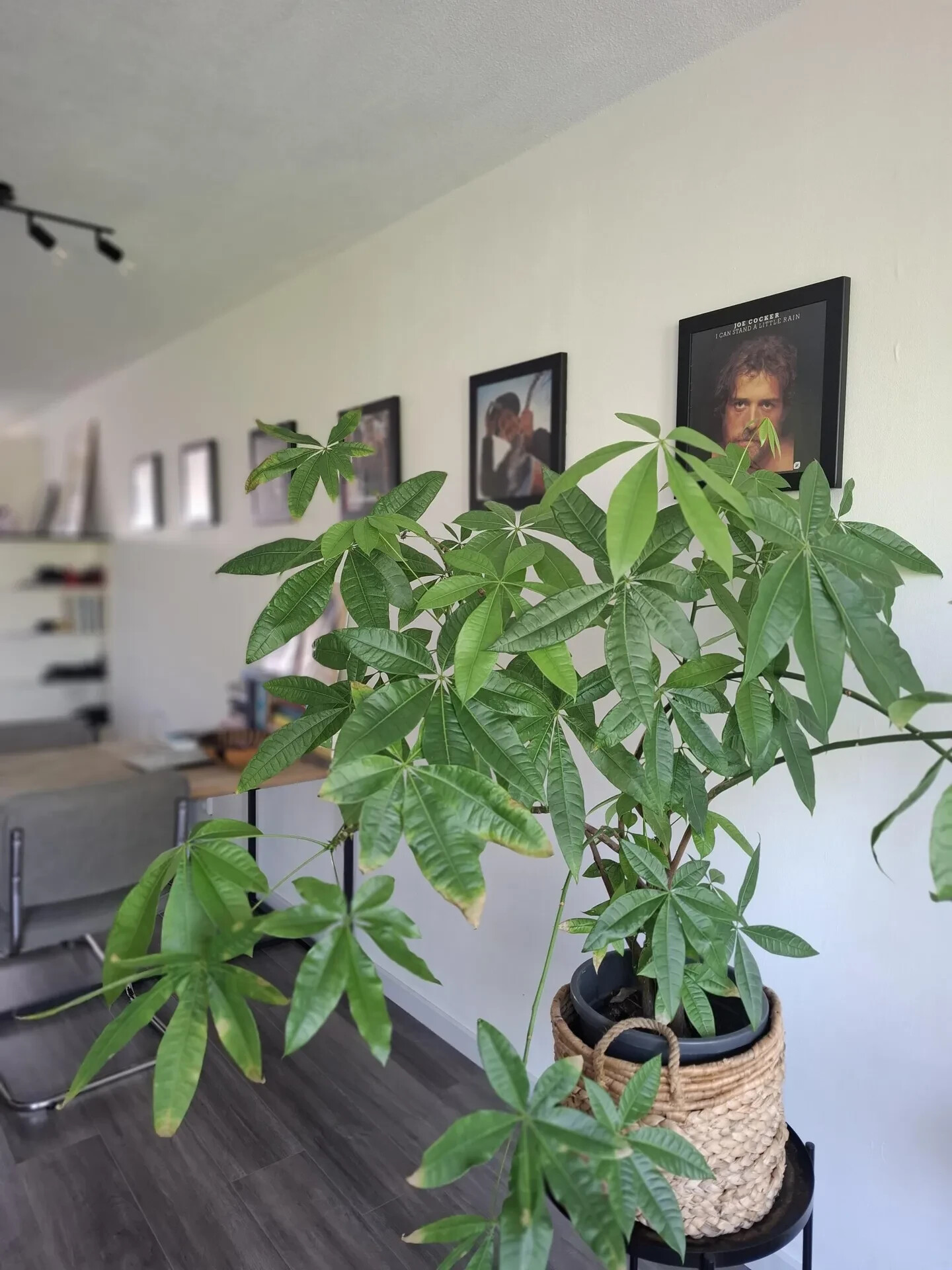 Appartement te koop: Aelbrechtskade 230, Rotterdam