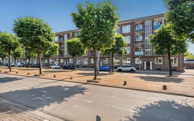 Schiedamsew. 254-C