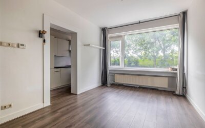 Schiedamsew. 531-01L