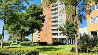 Speedwellstraat 254