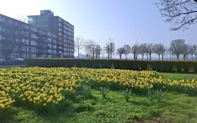 Mayflowerstraat 186