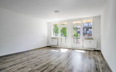 Graaf Balde. 85