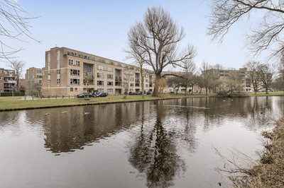 Schapendreef 453