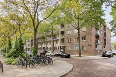 Ruivenplant. 28